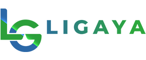 LIGAYA GAMBLING